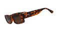 Came Here to Be Seen - Everyday Performance Eyewear