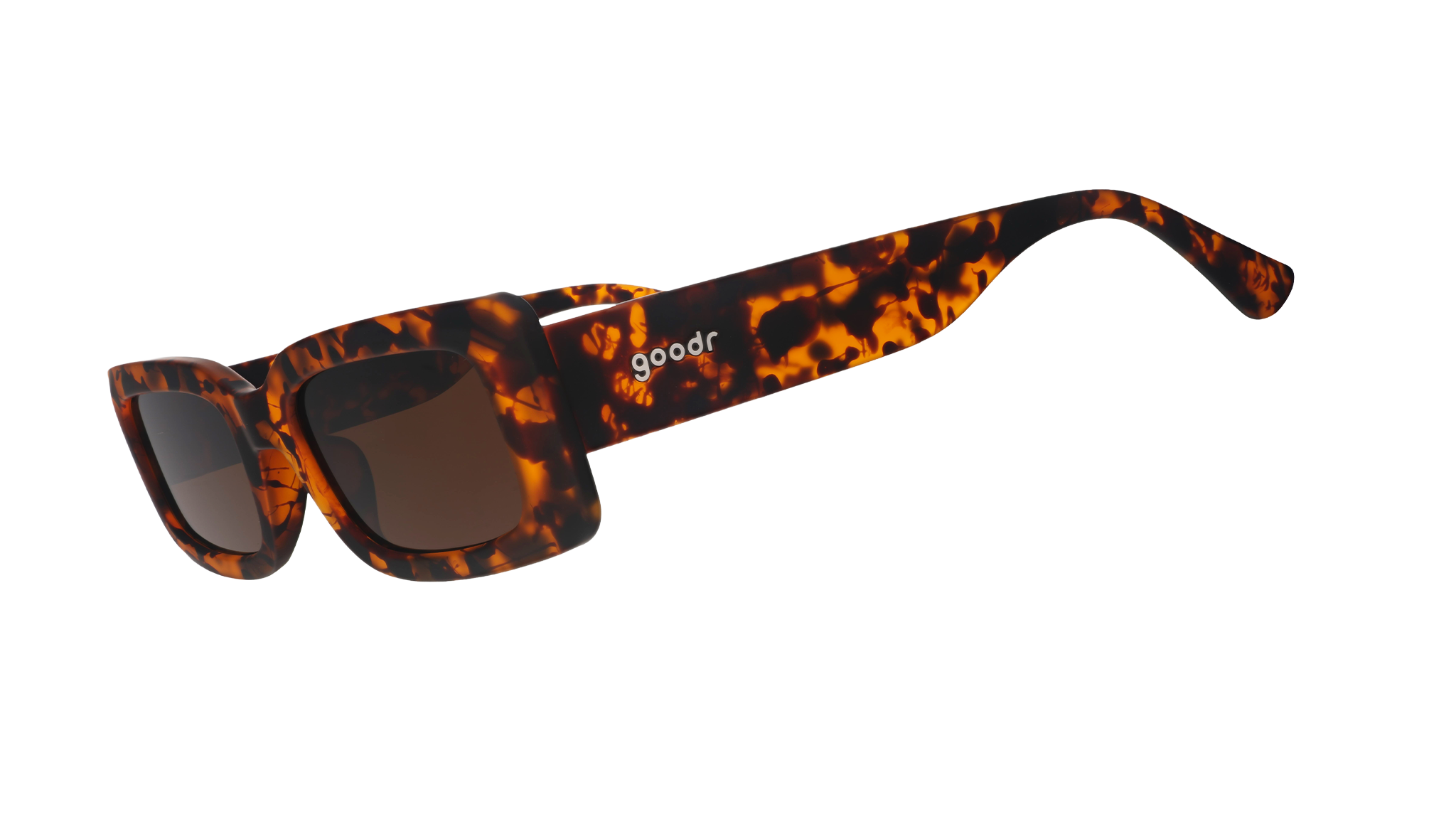 Came Here to Be Seen - Everyday Performance Eyewear