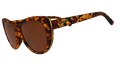 The Catwalk's Meow - Modern Everyday Eyewear