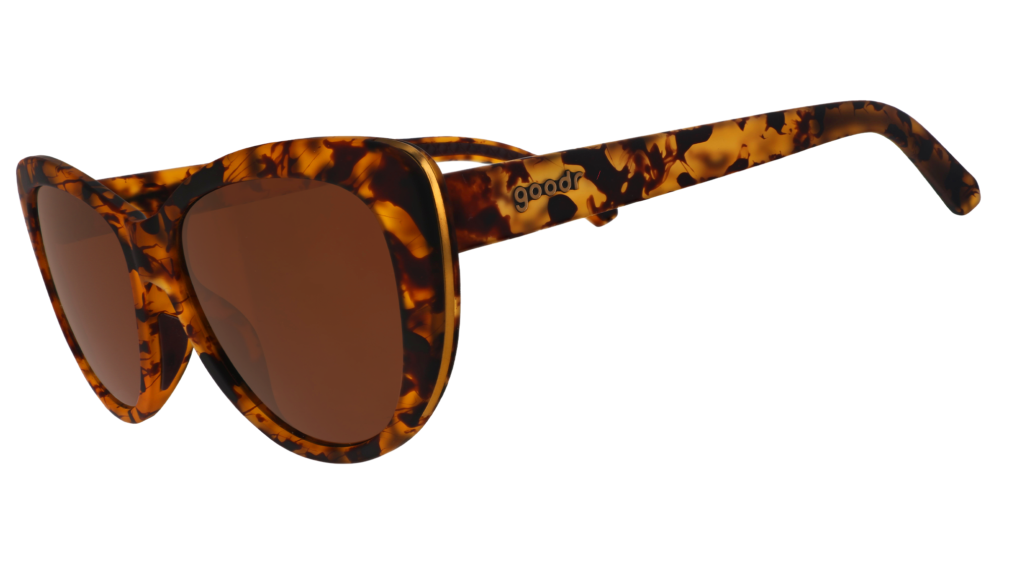 The Catwalk's Meow - Modern Everyday Eyewear
