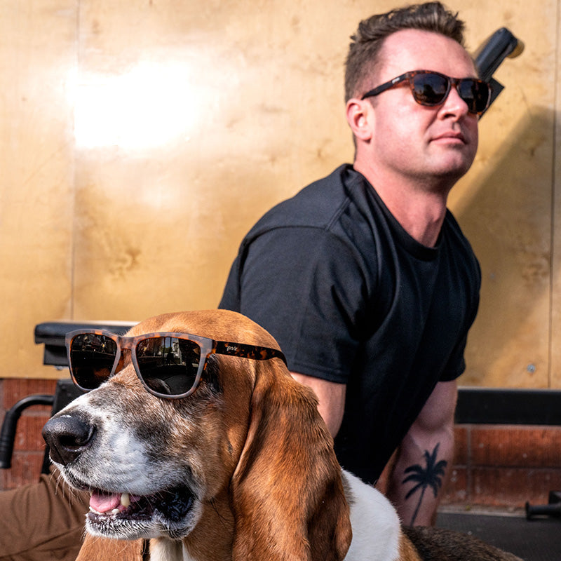 Bosley's Basset Hound Dreams - Modern Wrap Sunglasses