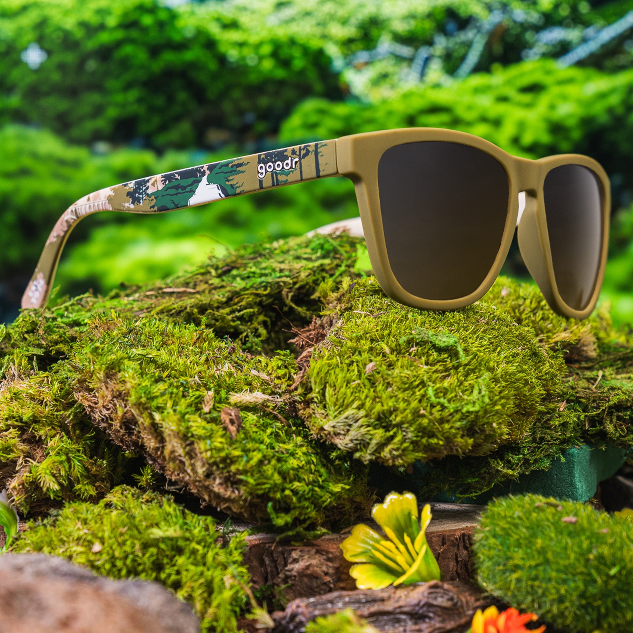 Cuyahoga Valley National Park - Fresh Polarized Sunglasses
