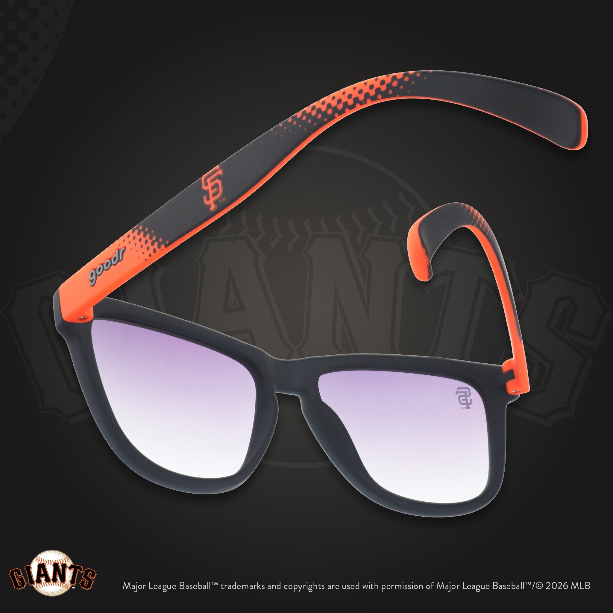 Golden Gate Greats - Travel Ready Sunglasses