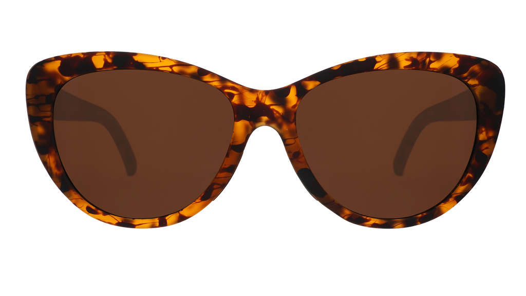 The Catwalk's Meow - Modern Everyday Eyewear