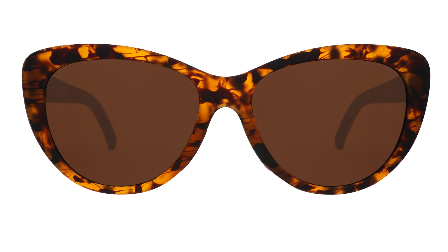The Catwalk's Meow - Modern Everyday Eyewear