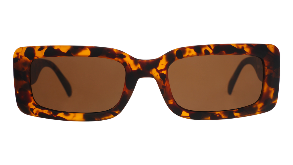 Came Here to Be Seen - Everyday Performance Eyewear