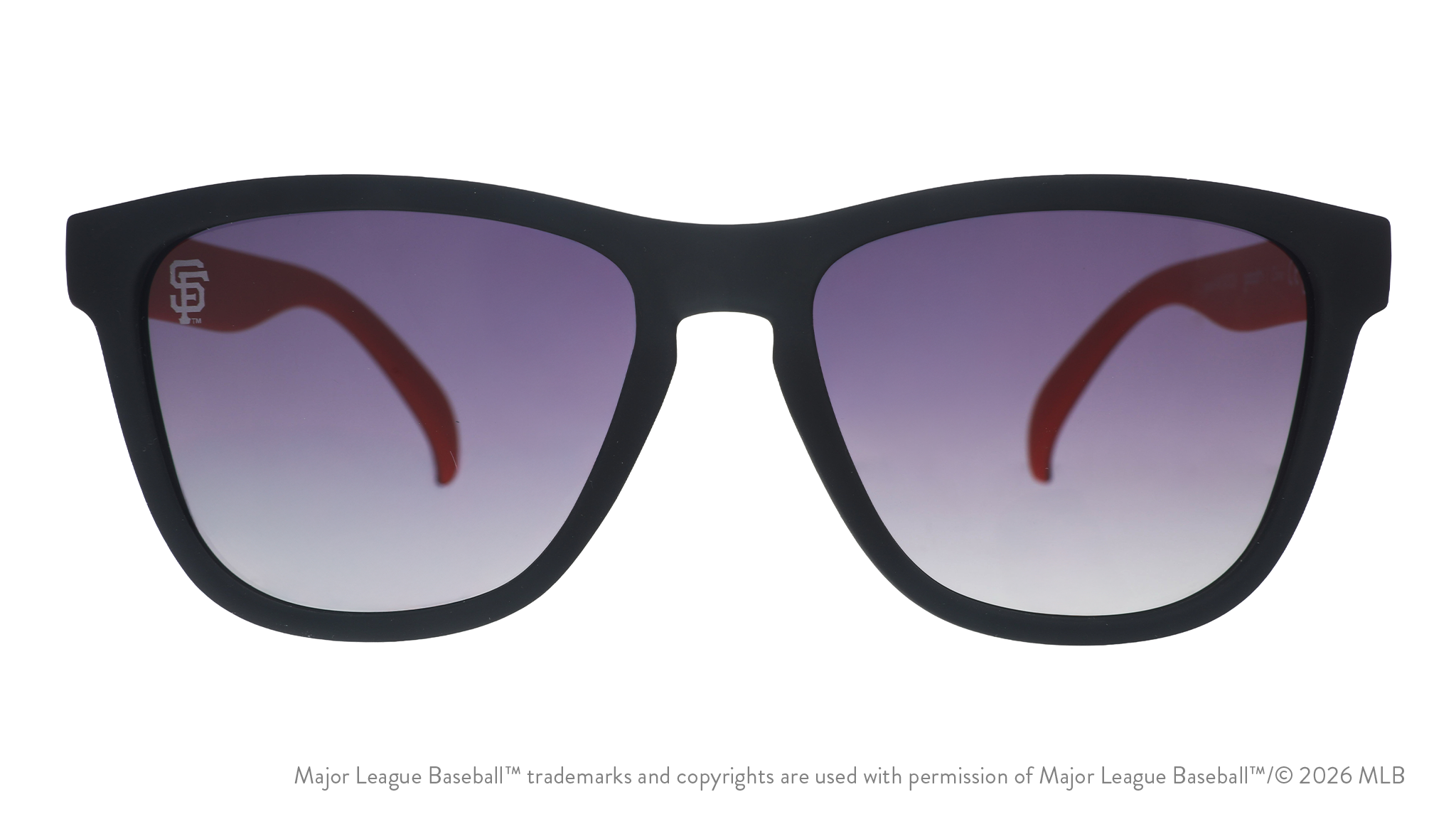 Golden Gate Greats - Travel Ready Sunglasses