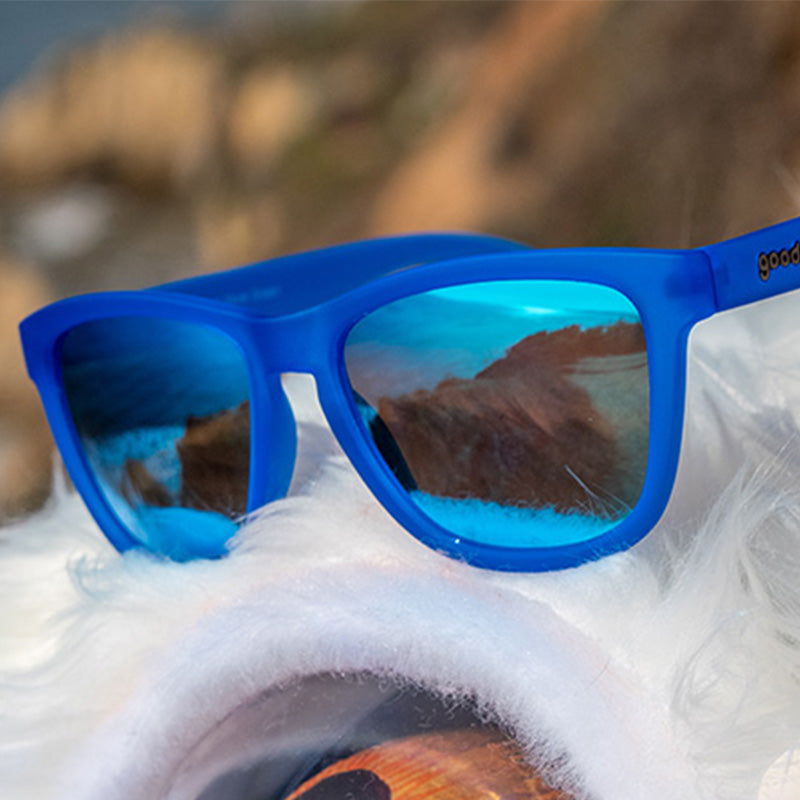 Falkor's Fever Dream - Travel Ready Driving Sunglasses