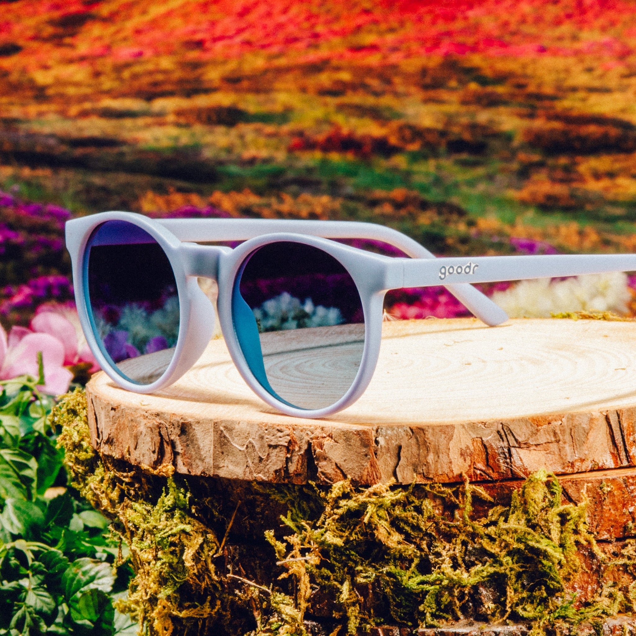 La Vie en Violette - Sport Ready Travel Sunglasses