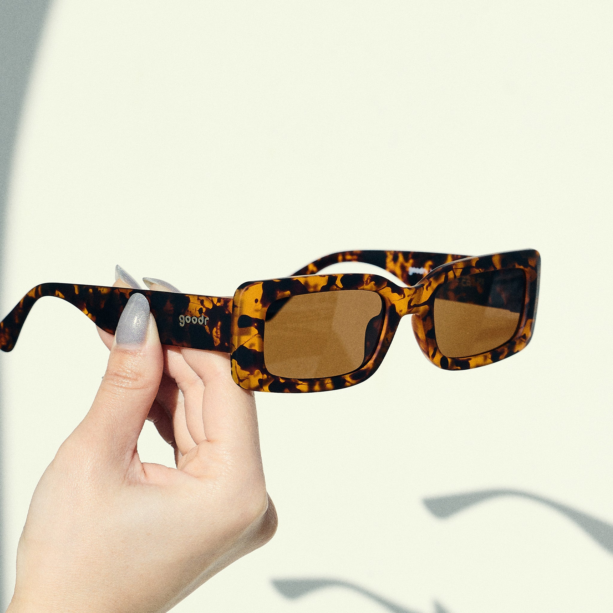 Came Here to Be Seen - Everyday Performance Eyewear