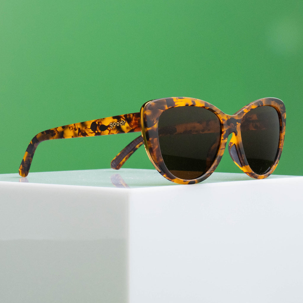 The Catwalk's Meow - Modern Everyday Eyewear