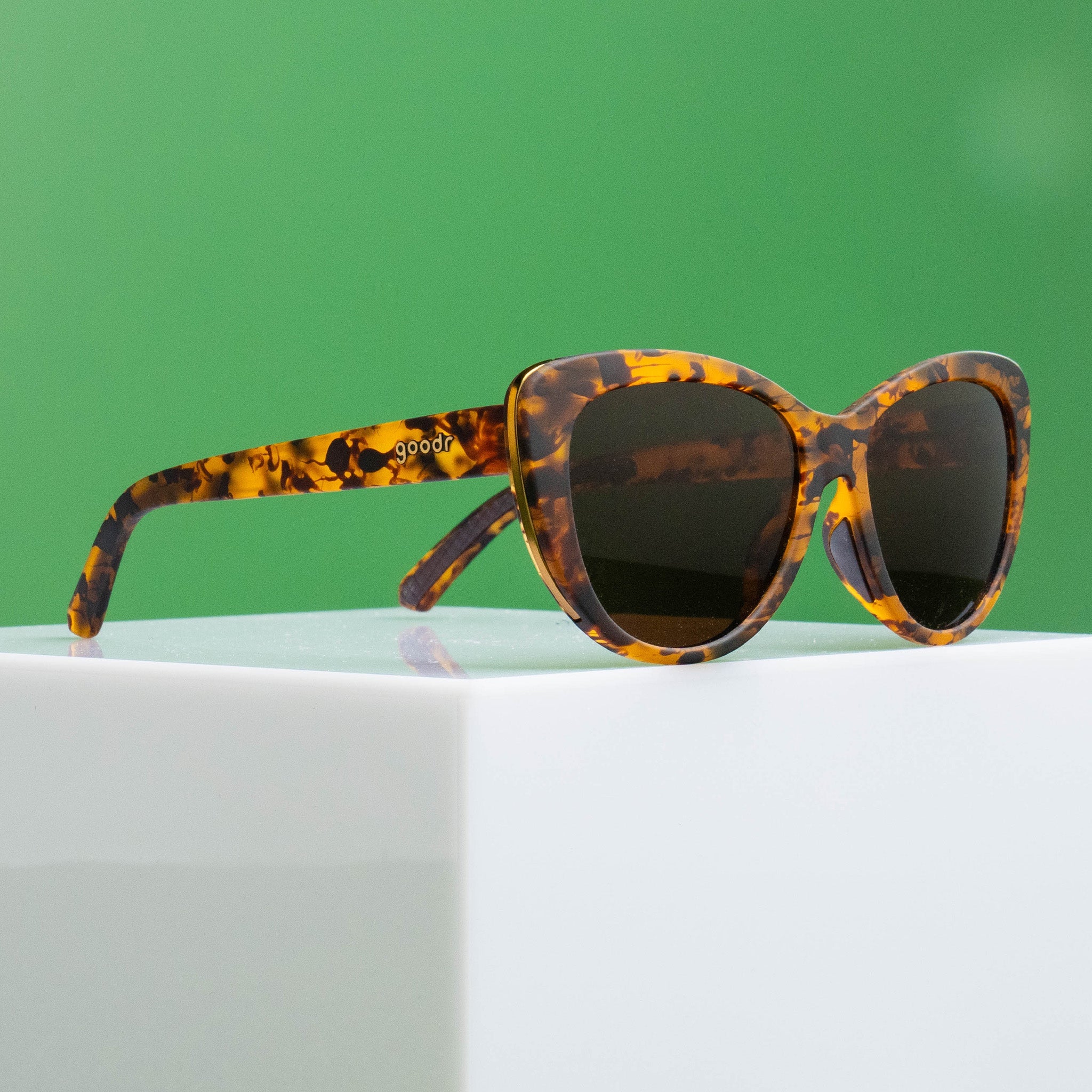 The Catwalk's Meow - Modern Everyday Eyewear