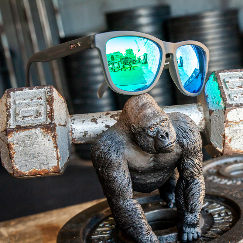 Silverback Squat Mobility - Casual Outdoor Eyewear