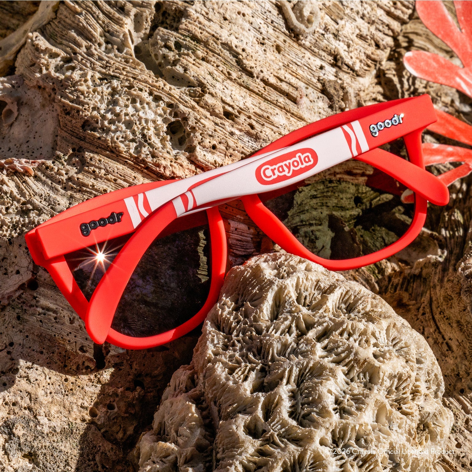 Coral Reef - Everyday Active Sunglasses