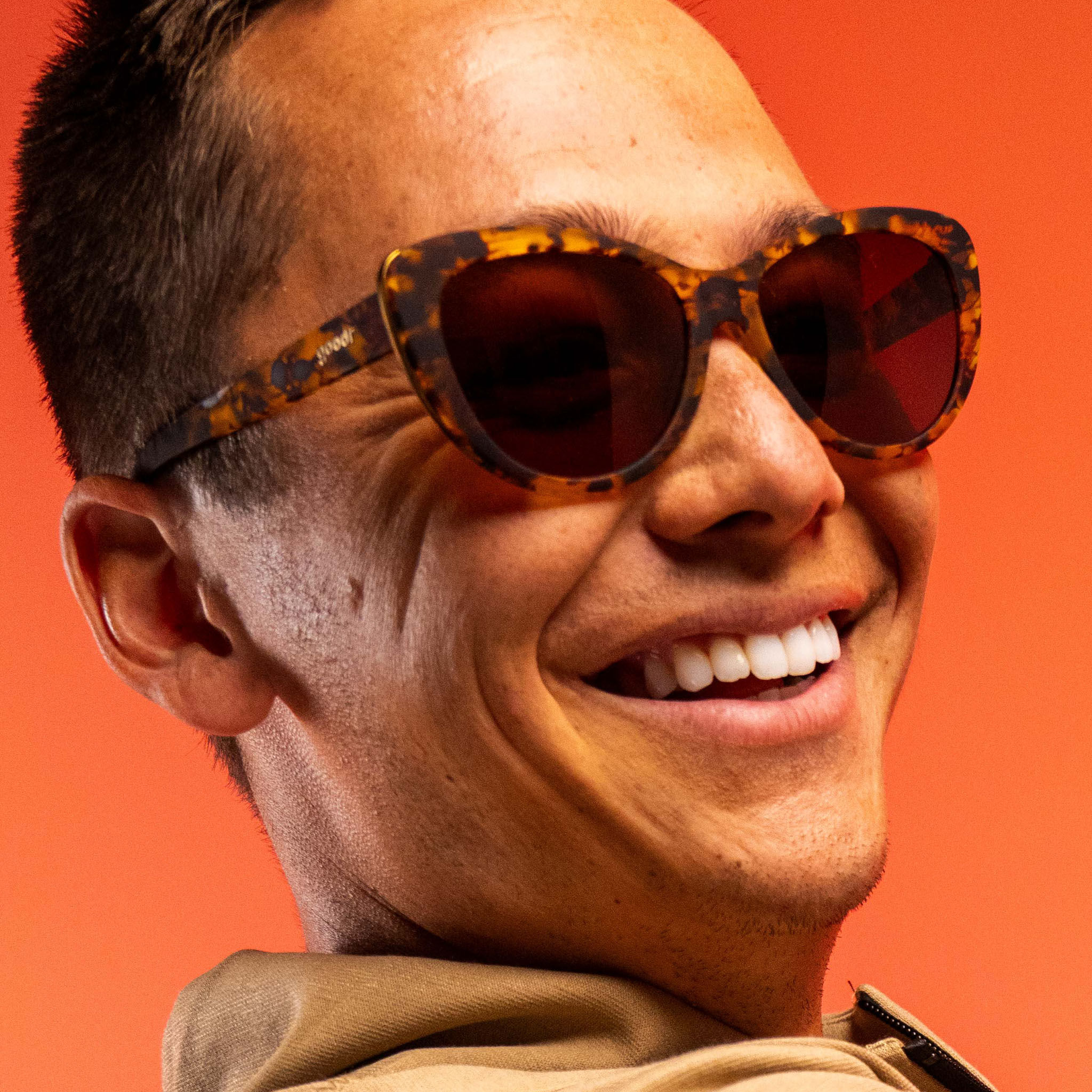 The Catwalk's Meow - Modern Everyday Eyewear